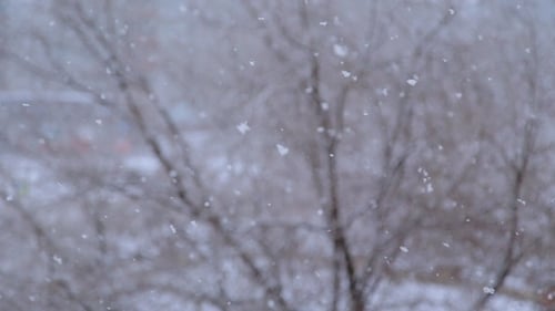 Heavy Snow Falls