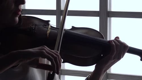 Young Adult Playing Violin Indoors