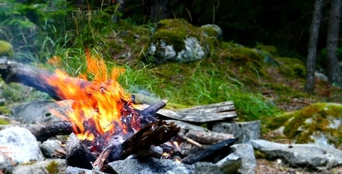 Feu de camp 1