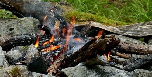 Camp Fire 2