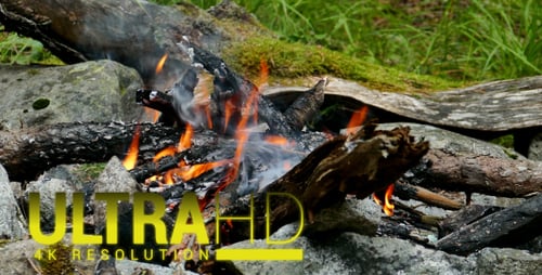 Camp Fire 2