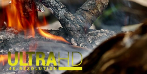 Camp Fire 3