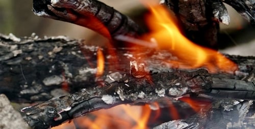 Feu de camp 4