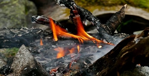 Camp Fire 5