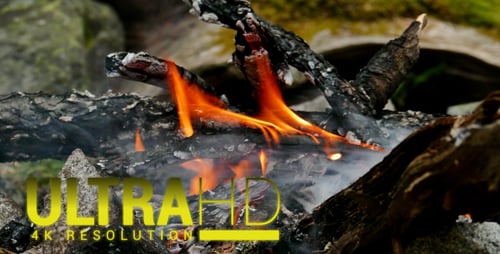 Camp Fire 5