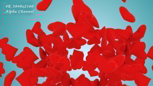 Flowing Red Hearts Overlay for Romantic Videos
