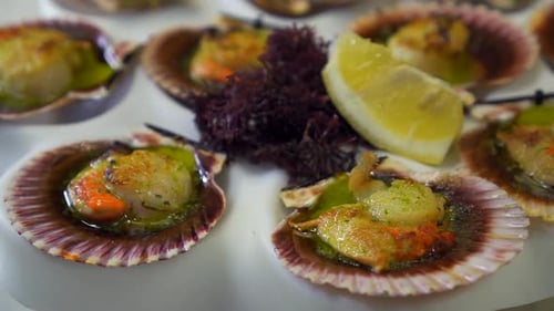 Delicious Scallops Served in Shells, Close Up