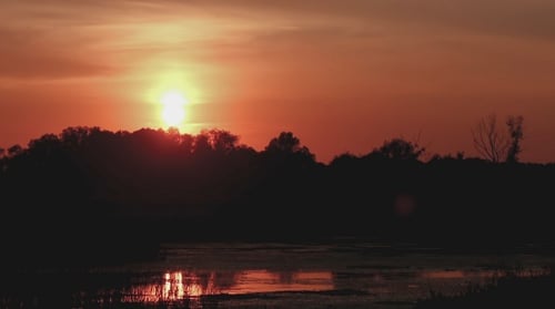 Fiery Sunset Over Lake with Silhouetted Trees