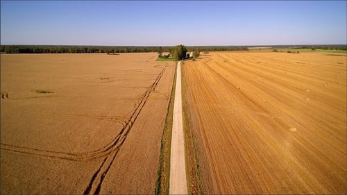 Une petite route entre deux terres cultivées