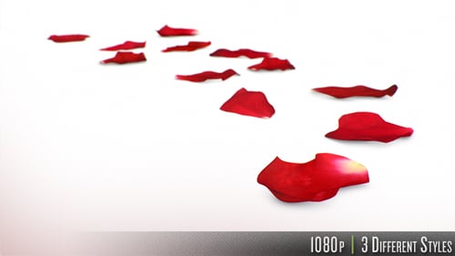 Falling Red Rose Petals Animation with Multiple Styles