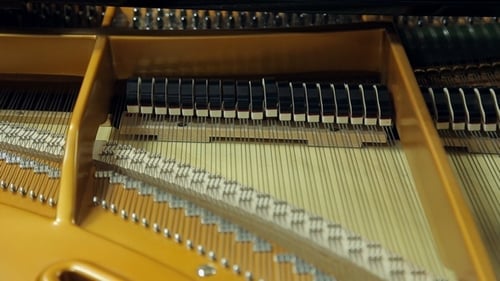 Inside a Grand Piano: Hammers and Strings