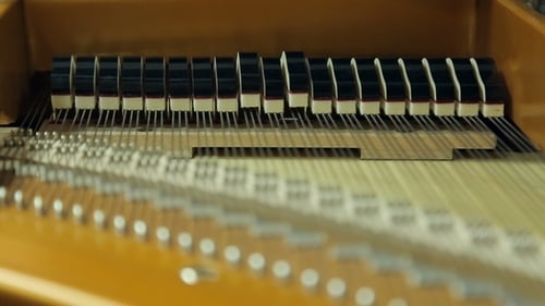Inside a Piano: Hammers Hitting Strings
