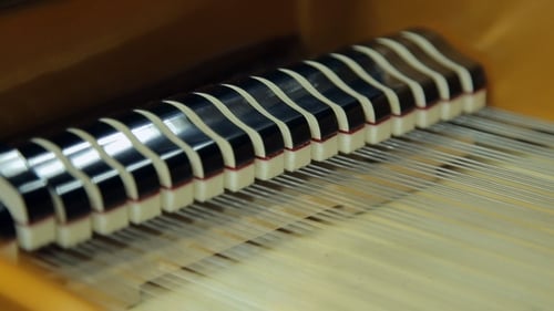 Piano inner mechanism hammers and strings