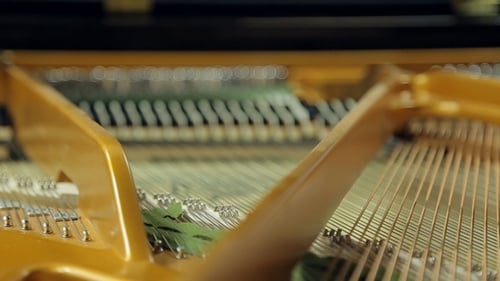 Inside a Gleaming Grand Piano