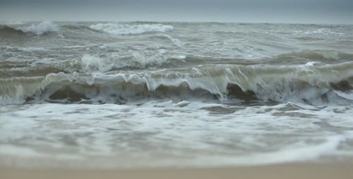 The Excitement of the Sea