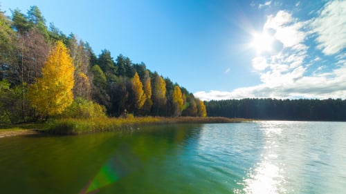 Autumn Forest And Lake