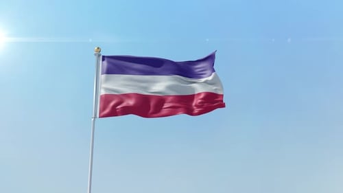 Realistic Three Stripe Flag Waving in Blue Sky Loop