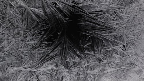 Ice Freezing Pattern