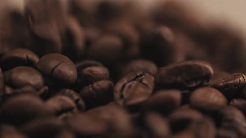 Roasted Coffee Beans in Close Up Detail