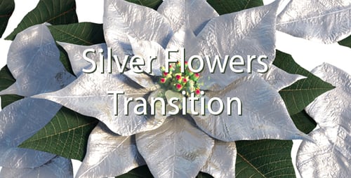 Elegant Silver Poinsettia Leaf Christmas Transition
