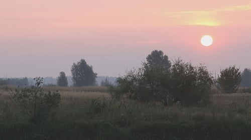 Sunrise Over Wild Meadow 2