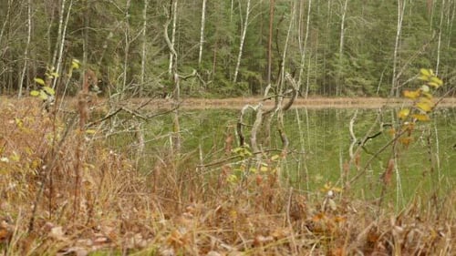 Dunkler See