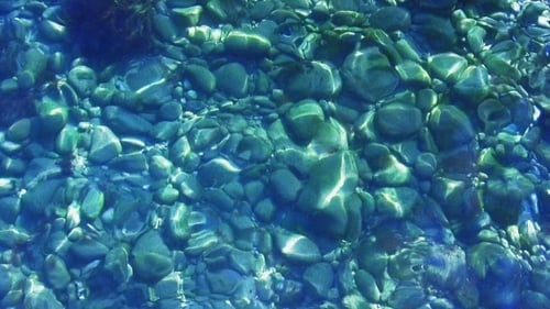 Sunlight On The Sea Bottom