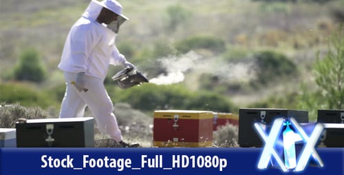 Beekeeping