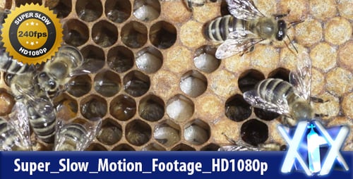 Honeycomb