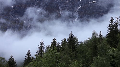 Mountain Forest Fog Norway