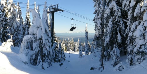 Alpine Skiresort - 02 - Schnee, Bäume, Lift, Menschen