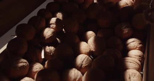 Open A Wooden Box With Walnuts