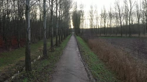 Moving or walking over a footpath next to a forest and a meadow in winter after a heavy rainfall