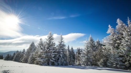 Sonnige Zeit im Winterberg