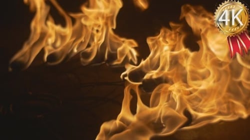 Close Up of Flames in Dark Setting
