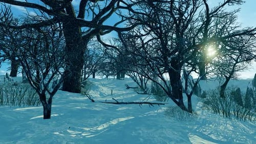 Park in winter