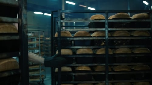 Bread Bakery Food Factory Production