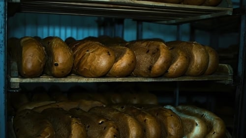 Bread Bakery Food Factory Production With Fresh Products