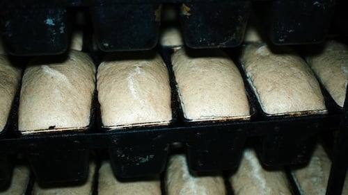 Bread Bakery Food Factory Production With Fresh Products, Flour, Dough, Bread