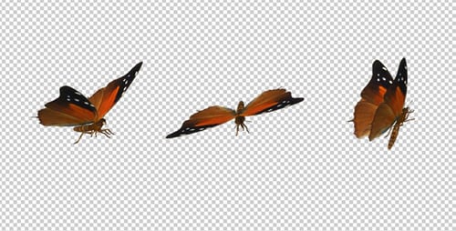 Flying Butterfly - Red Flipper