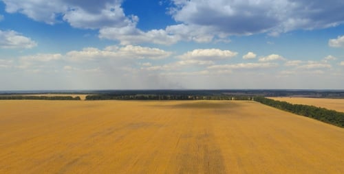 Takeoff Over Big Field in Evening