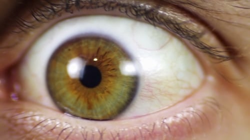 Extreme Close-Up of Human Hazel Eye