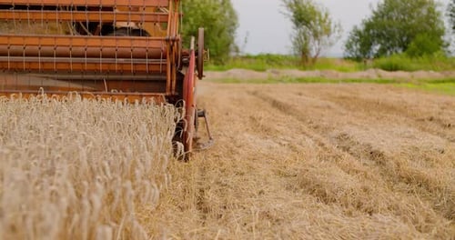 Mähdrescher arbeitet in der Landwirtschaft