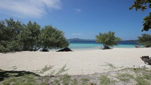 Hermosa playa y mar tropical