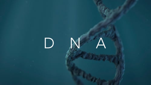 Realistic 3D DNA Double Helix Rotating Background Animation