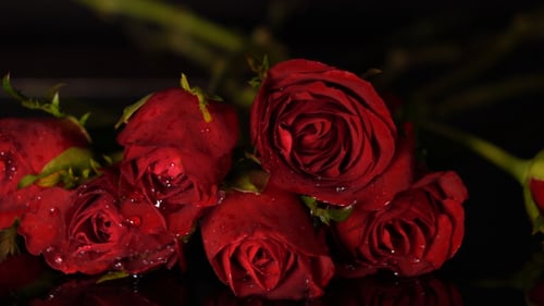 Fallende Rosen