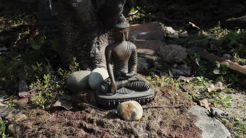 Bronze Buddha Statue Among Stones and Moss