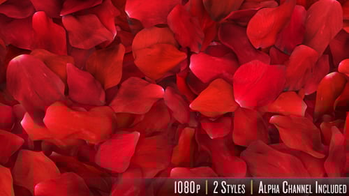 Red Rose Petals Fill Screen Overlay