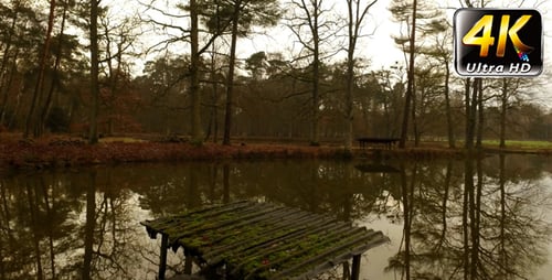Die See- und Baumspiegelung auf dem Wasser 1