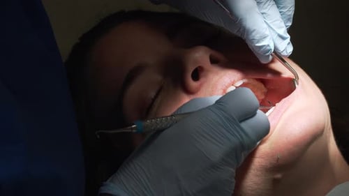 Scenes From A Dentist Office Visit 26